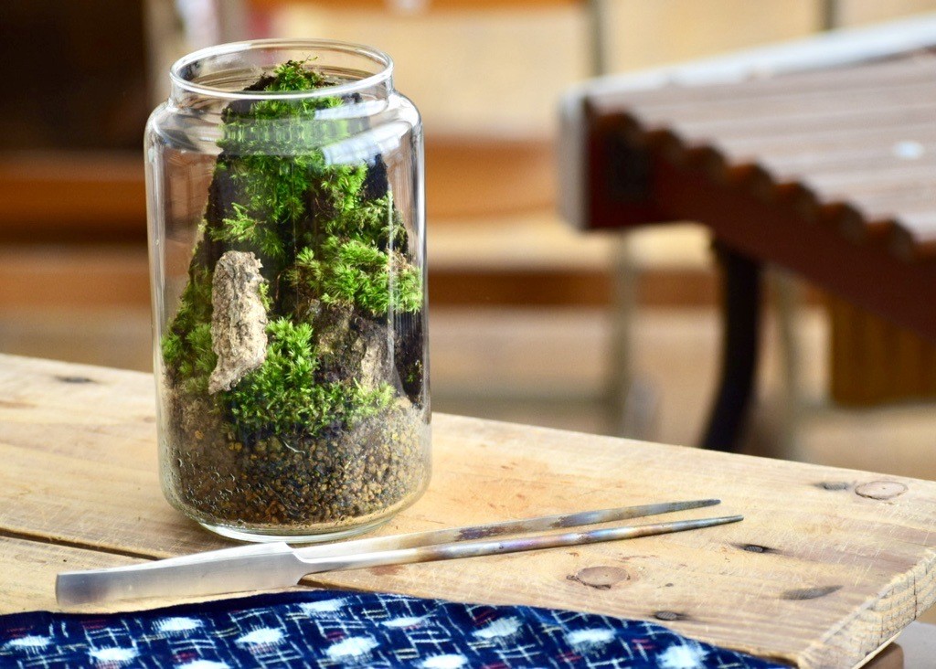 �R���X�N�Z���N�V����