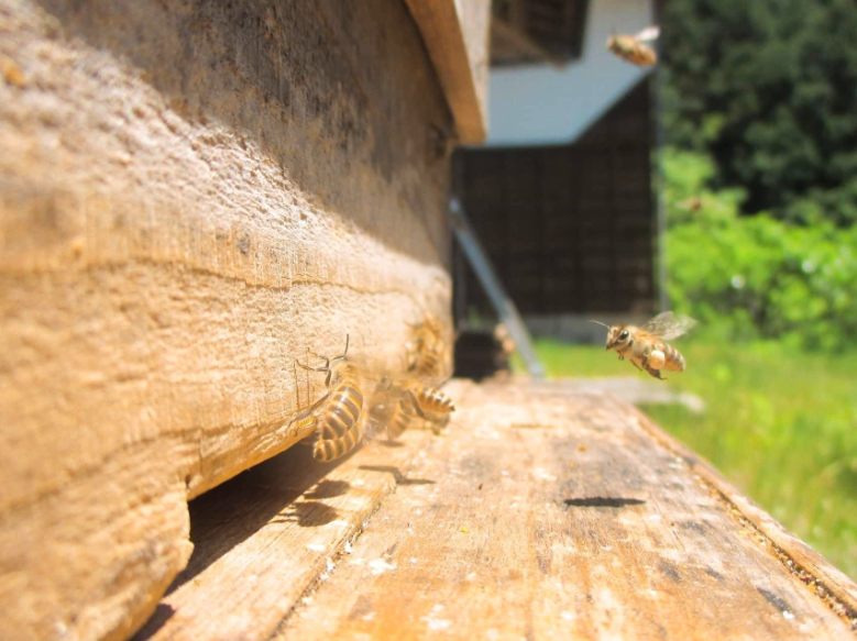 yzcɕ炵`jz~co`Ǝ@Hҁ`